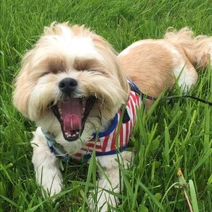 Meet your Posher, Wendy